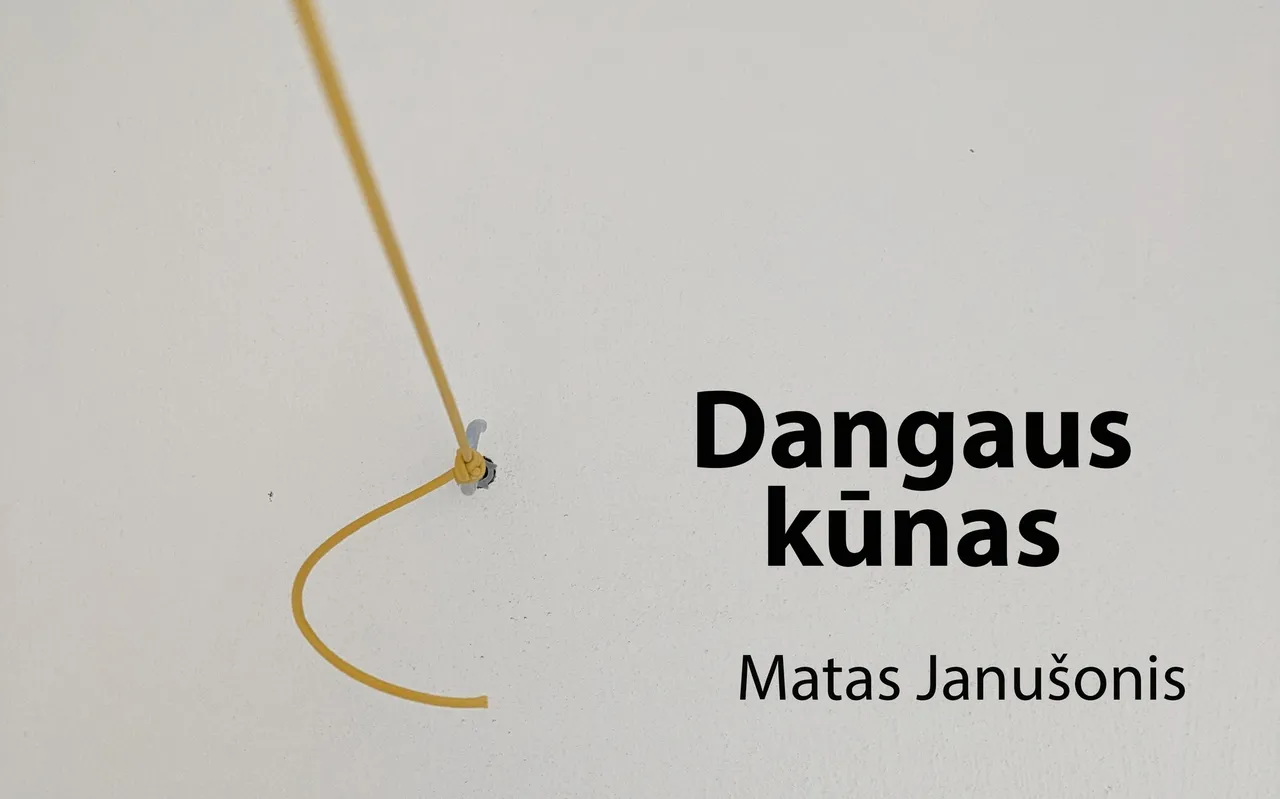 mato janusonio paroda