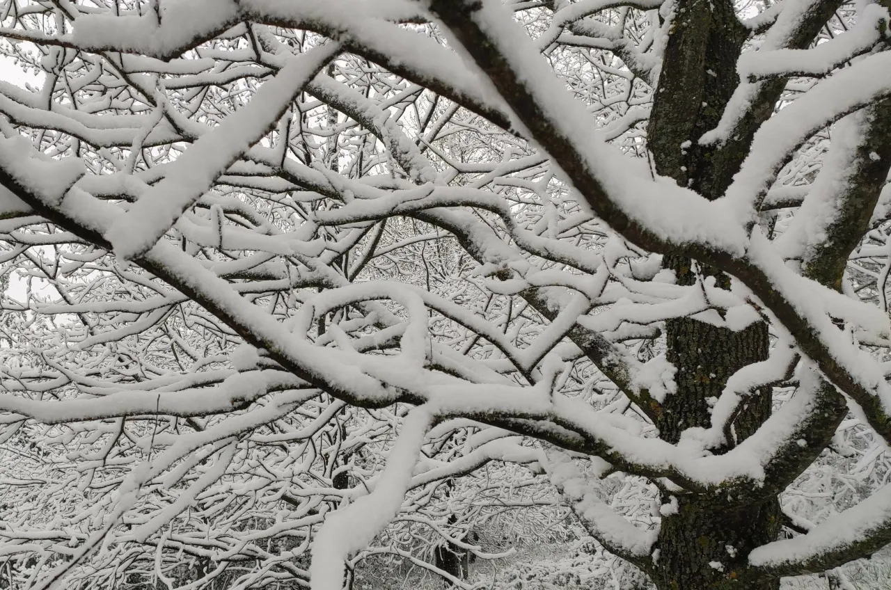 meddimg 20200512 082340 scaled