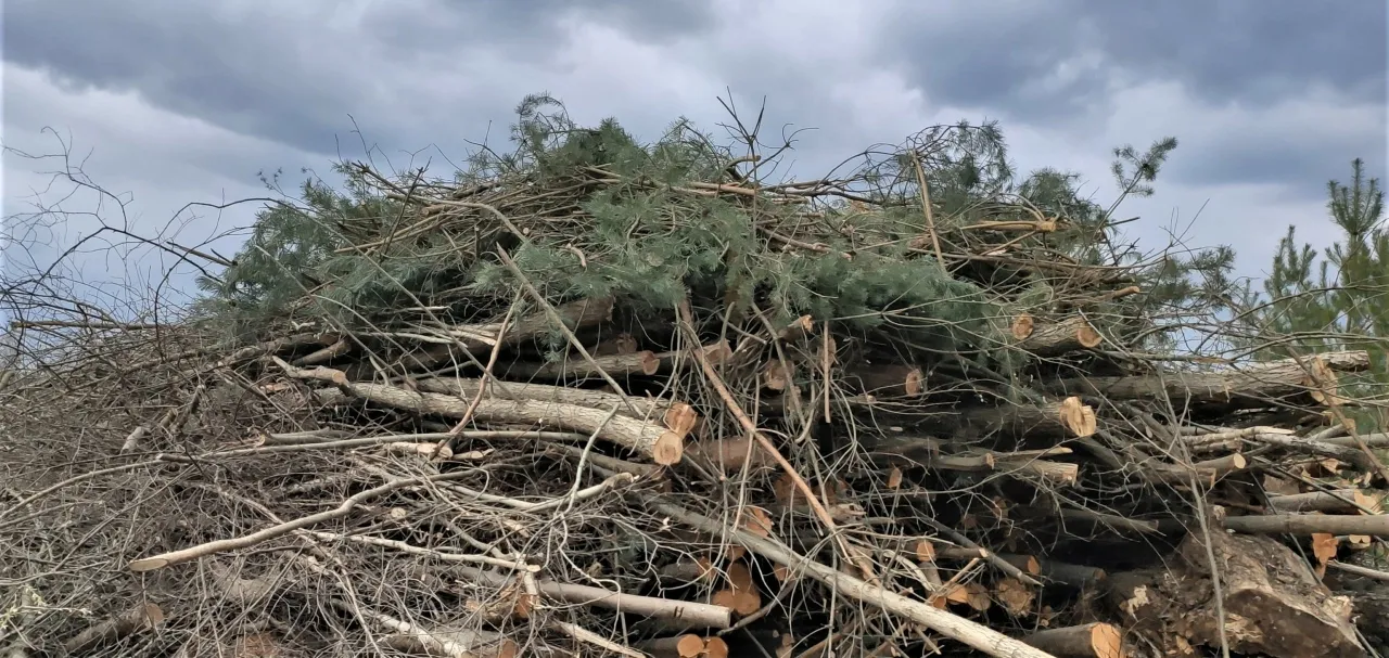 medimg 20200426 155020 scaled