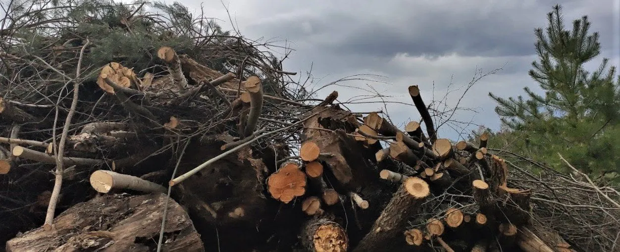 medimg 2020ss0426 155018