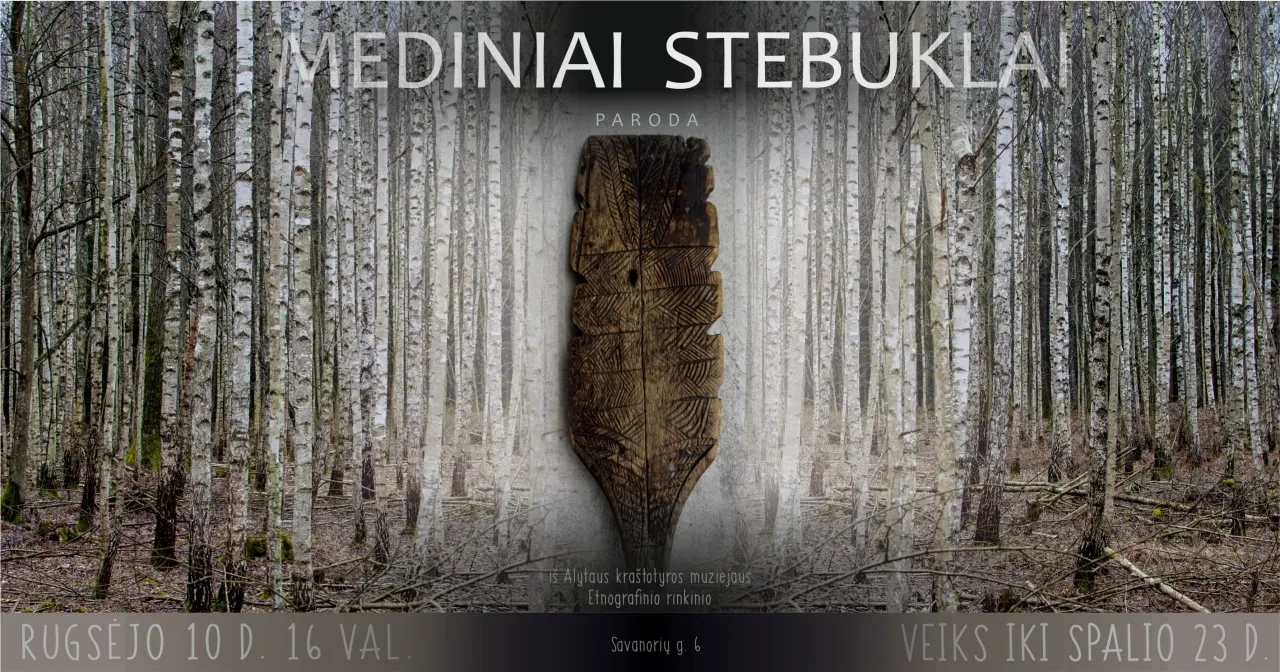 mediniai stebuklai scaled