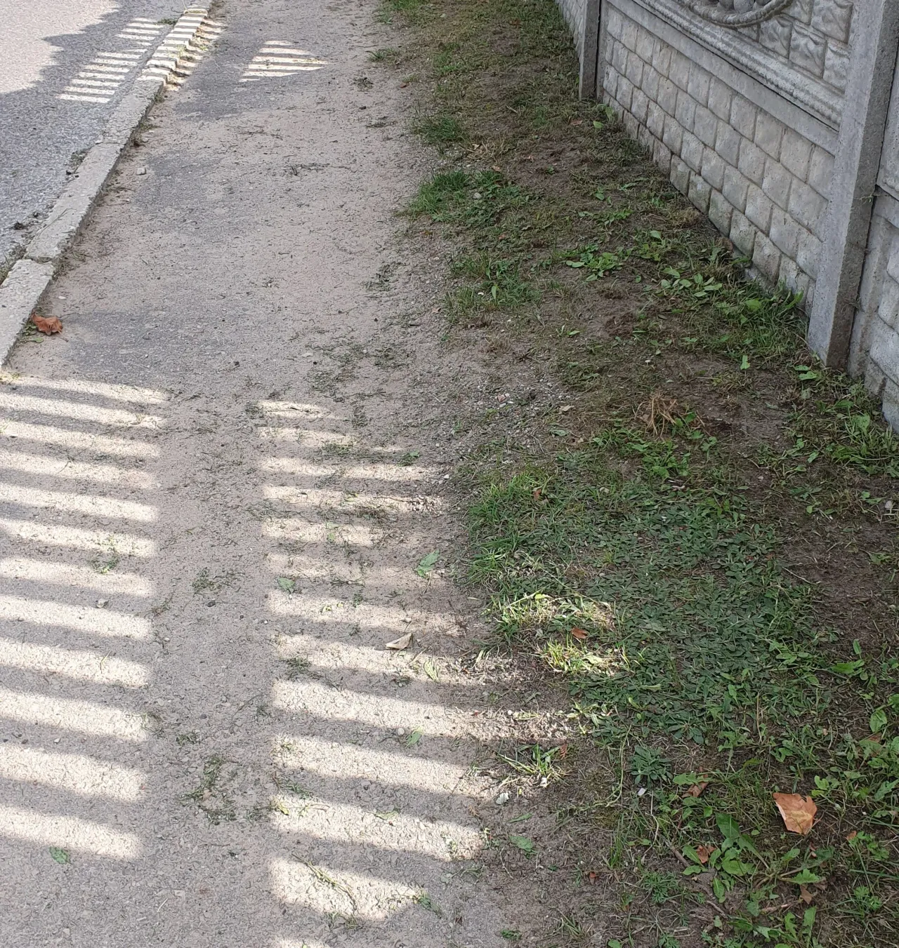 merk20230906 154703 jpg