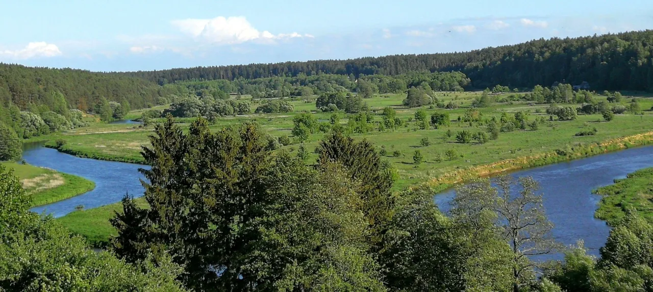 merknemimg 20190602 181746ww scaled