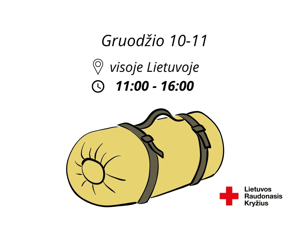 miegmaisiu rinkimas vilnius 2