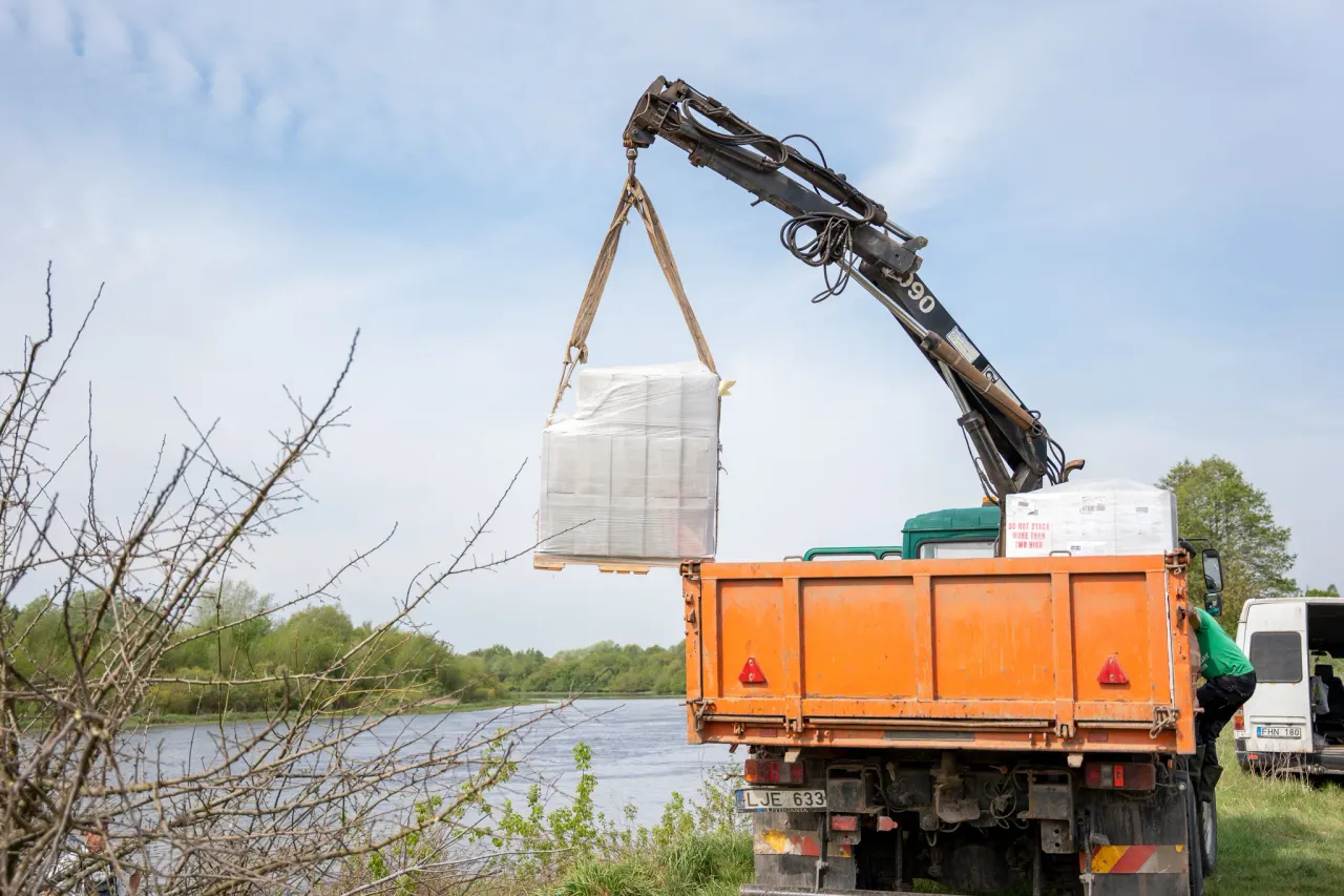 moskes347555896 2763068187168257 7230959967256238278 n jpg