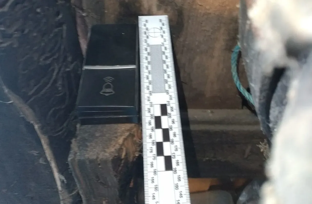 narnemimg 20210428 105026 jpg