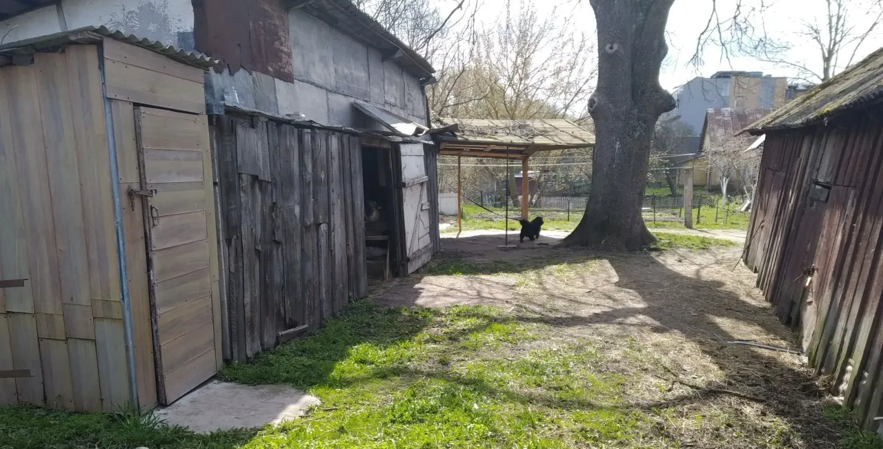 narnemimg 20210428 105302 jpg