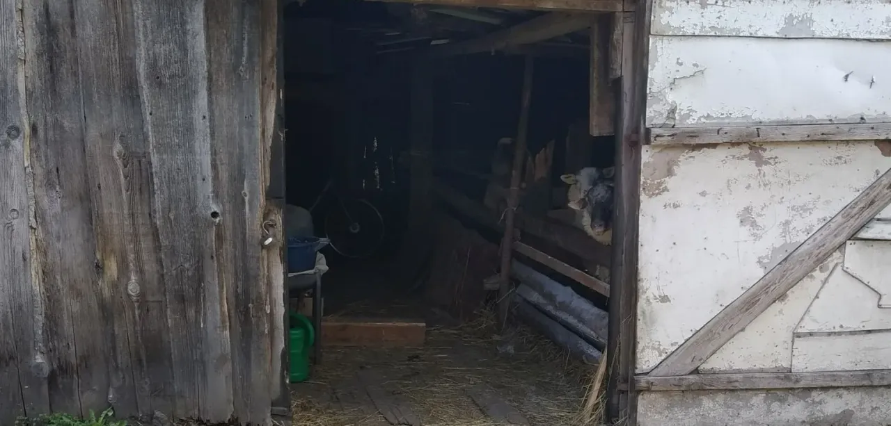 narnemimg 20210428 105313 jpg