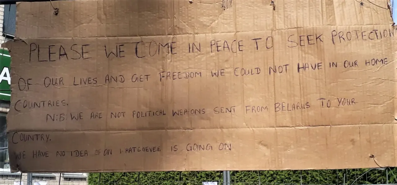 nele231351441 4314469895304837 6108436179490031385 nx jpg