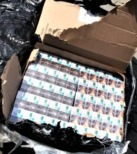 nem20230523 cig kapc 2s jpg