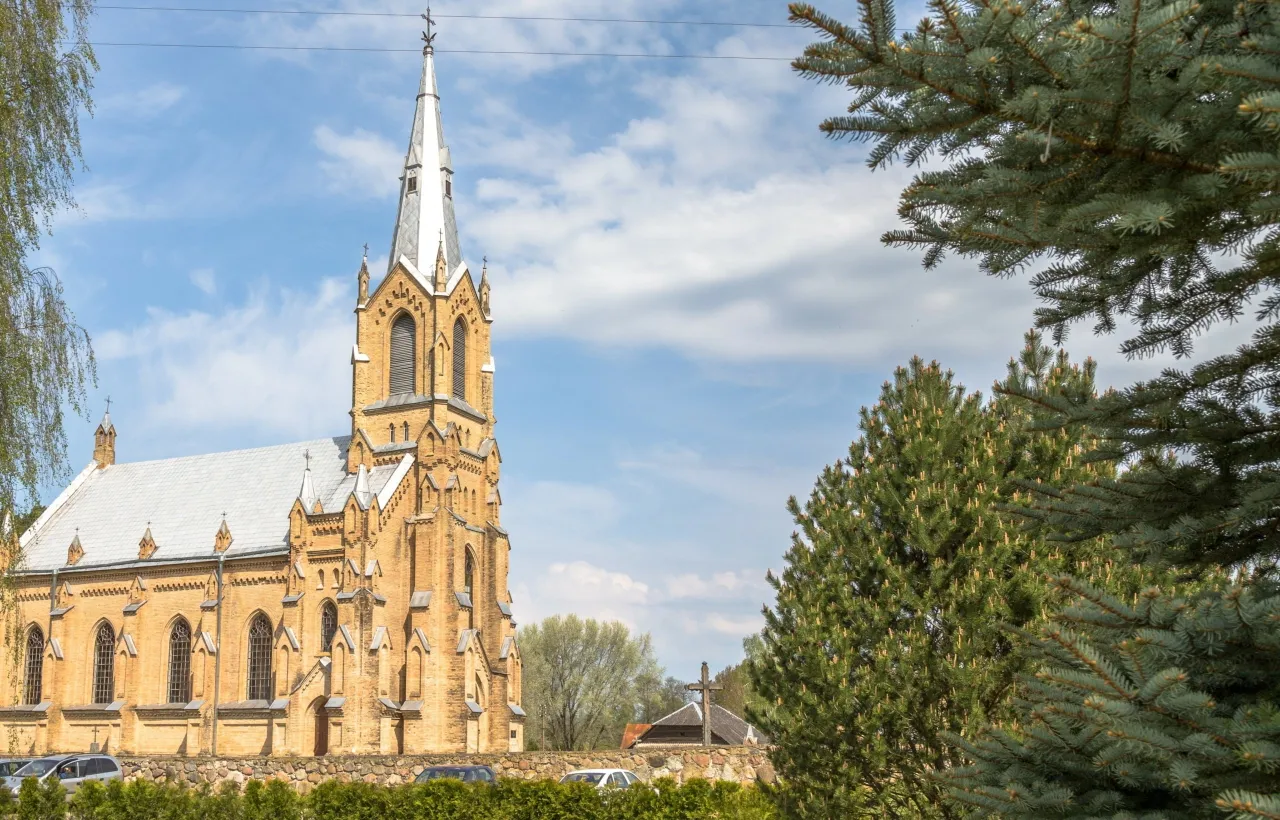 nembazimg 8205 scaled