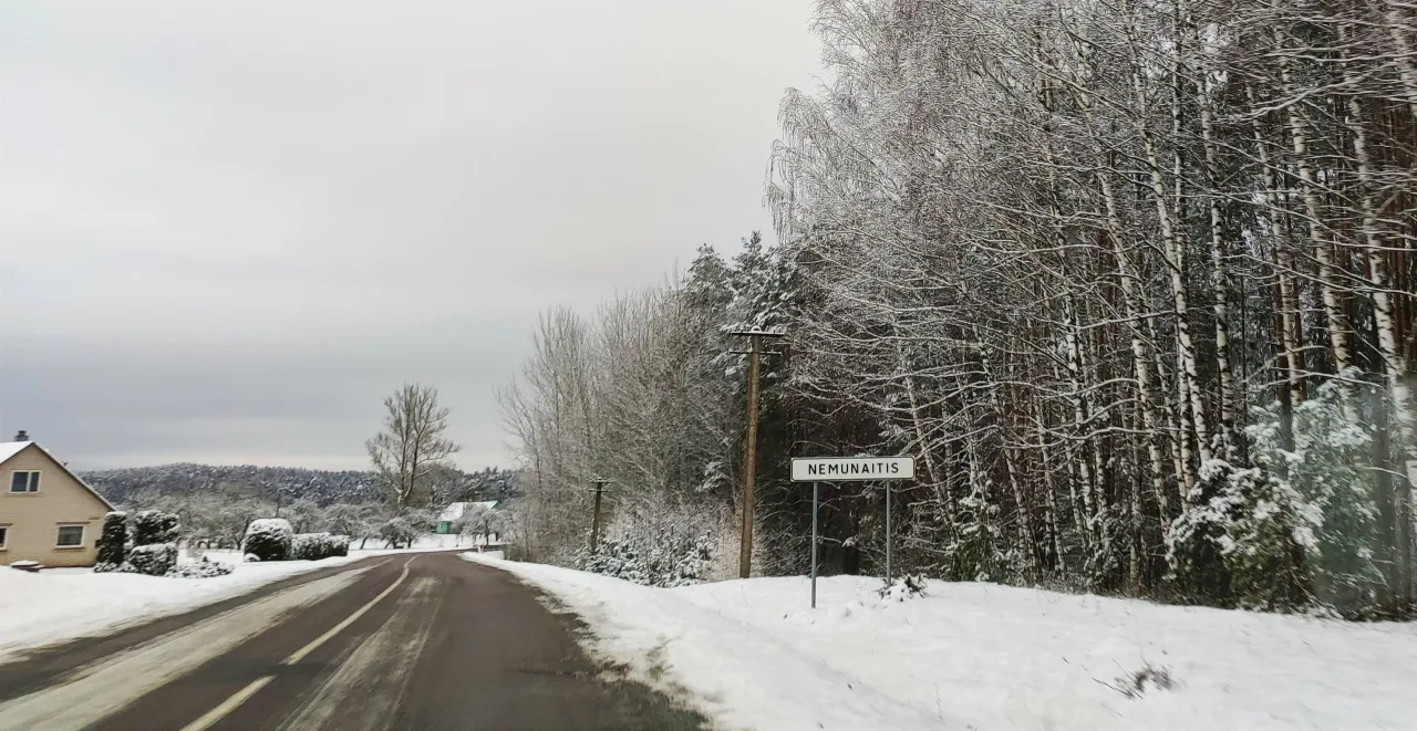 nemuai1638974012056 scaled