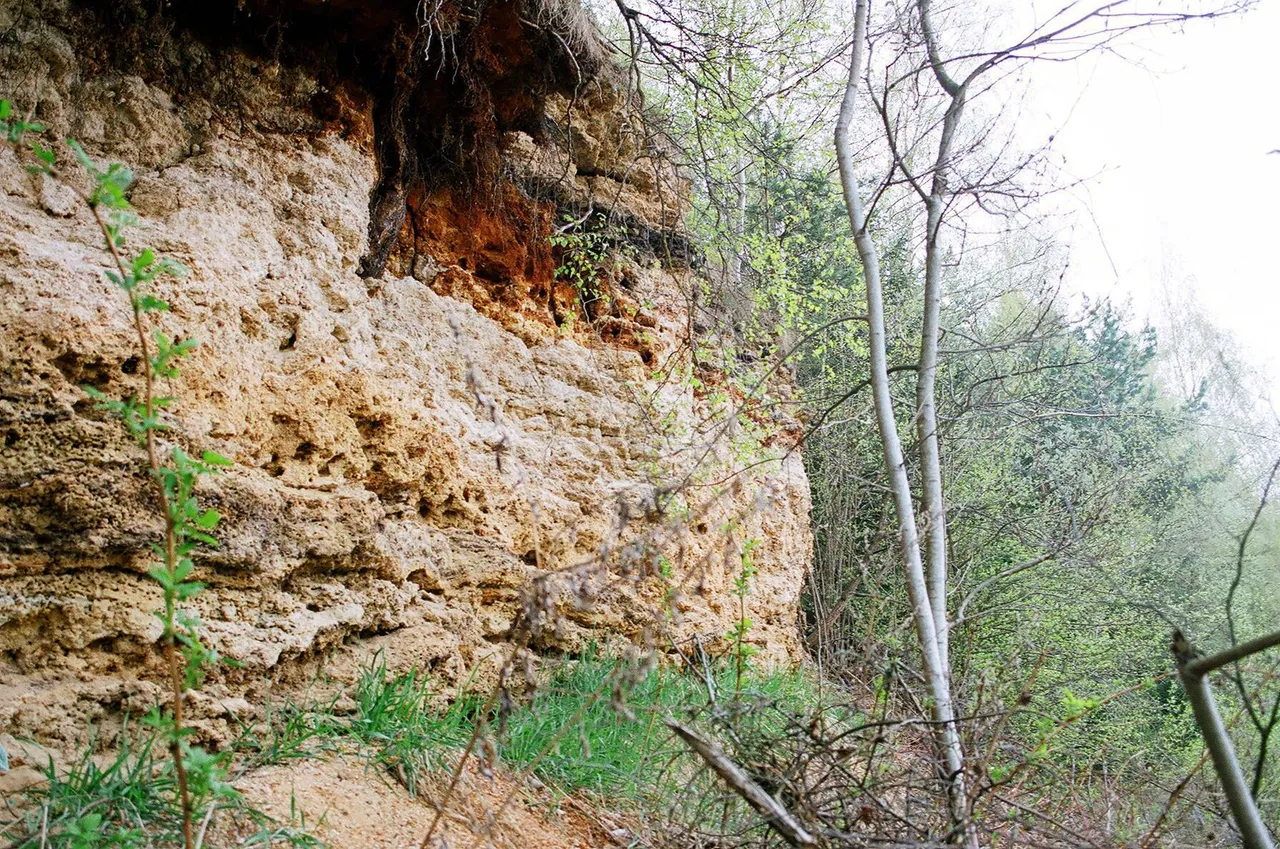 nemunaicio atodanga3