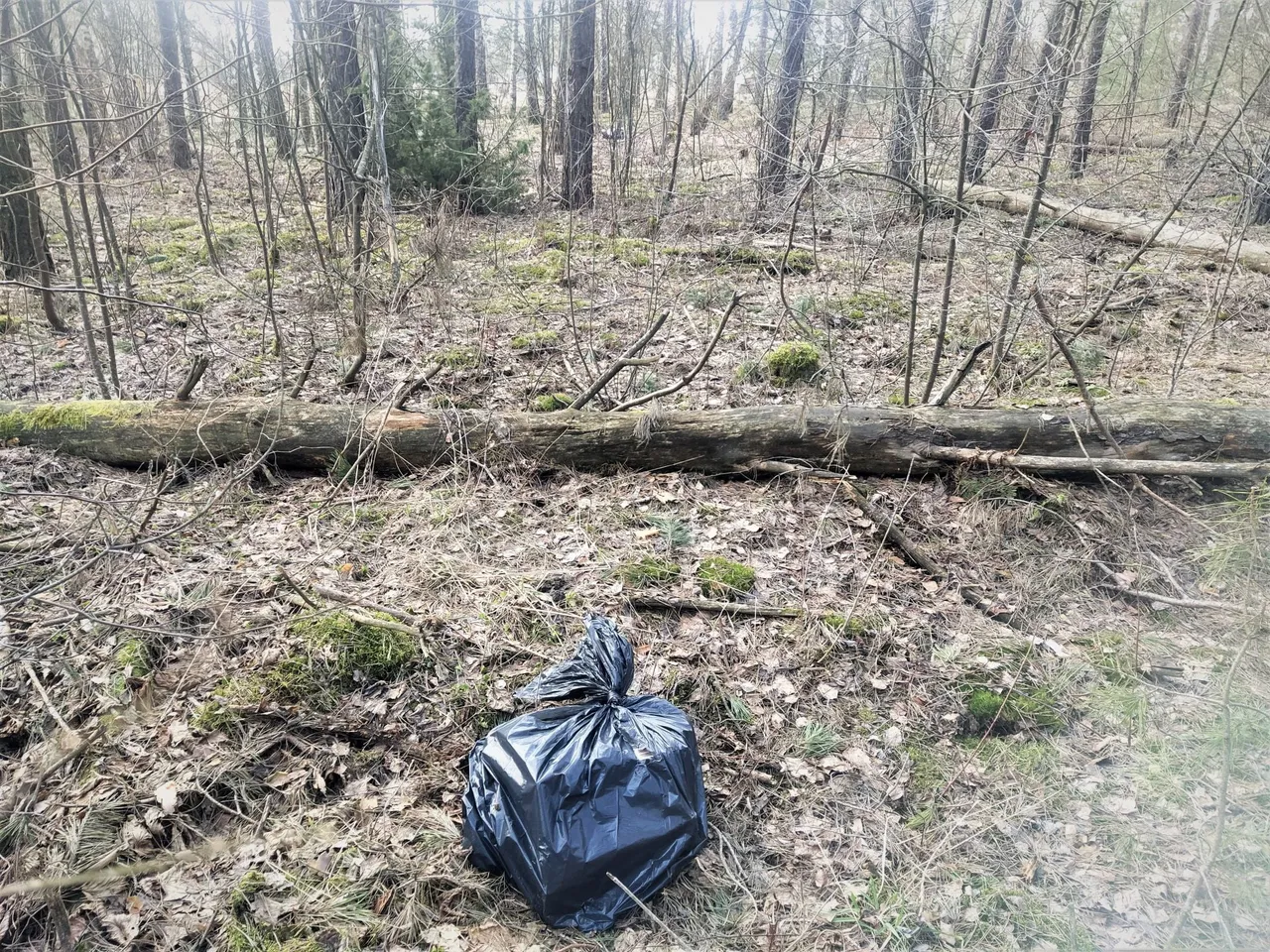 nesik20230319 cig barausk 3