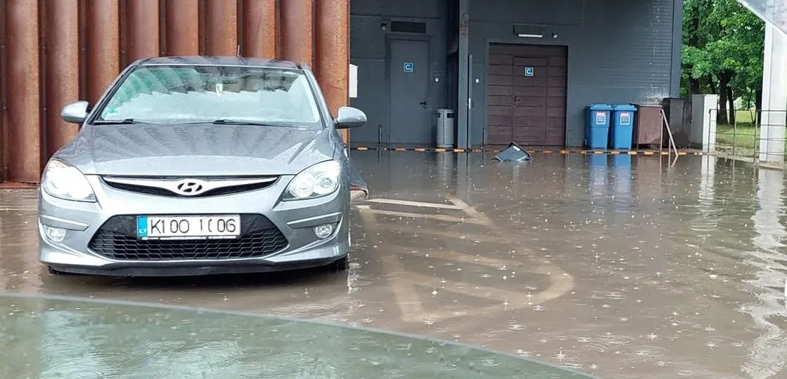 nor354621298 6604774516211399 5491572197695691515 nss jpg