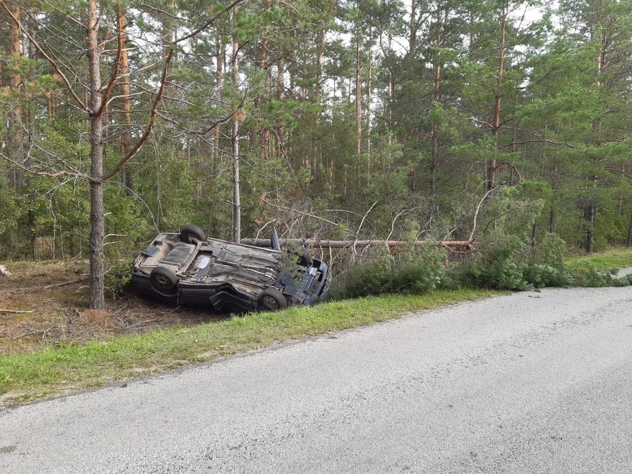 nuotrauka nr 82 scaled