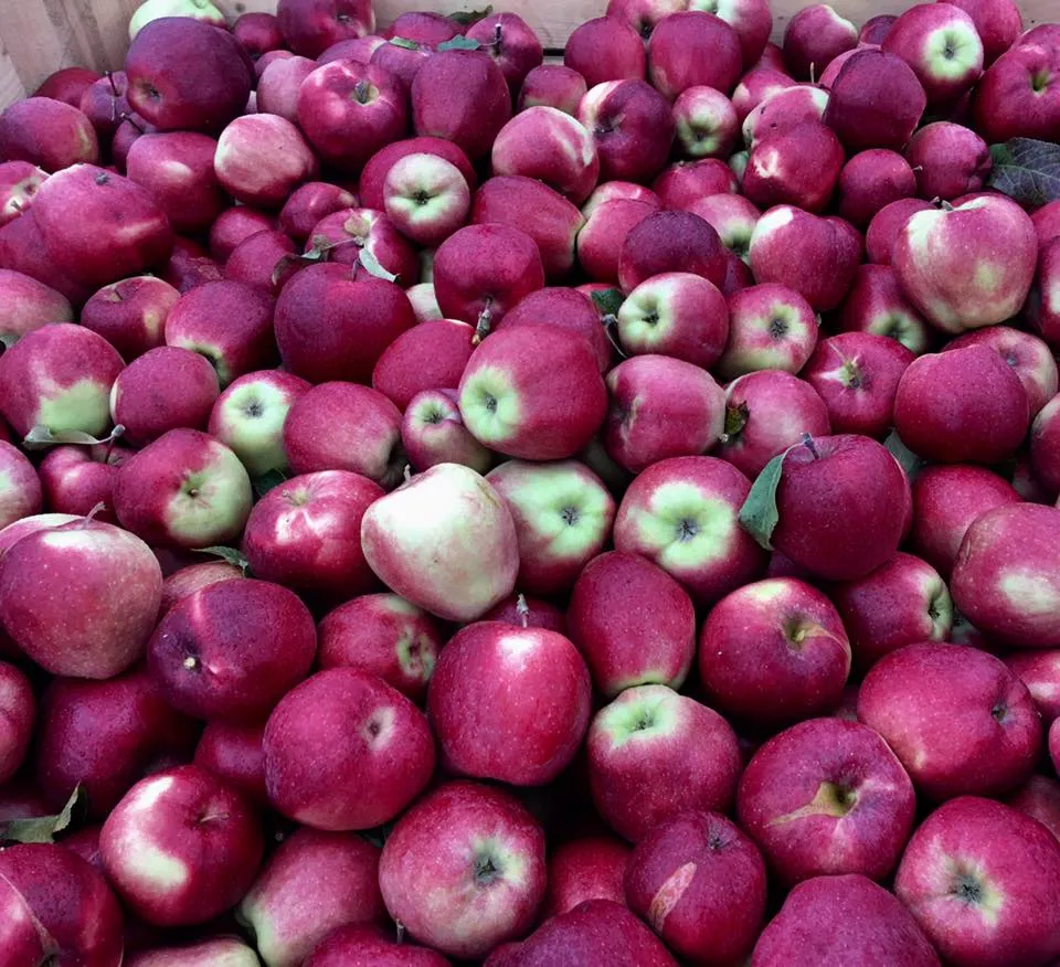 obuol22549559 873190506189142 6485114256179392770 n