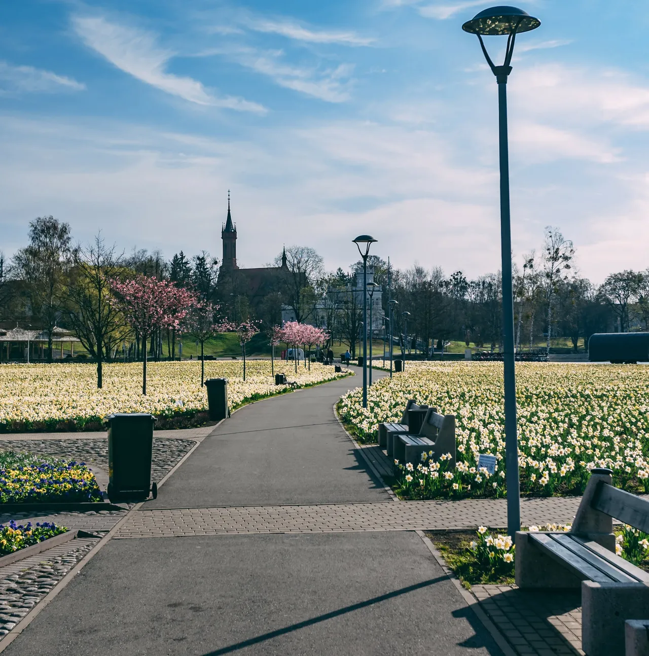 p2155293 seibokoss scaled