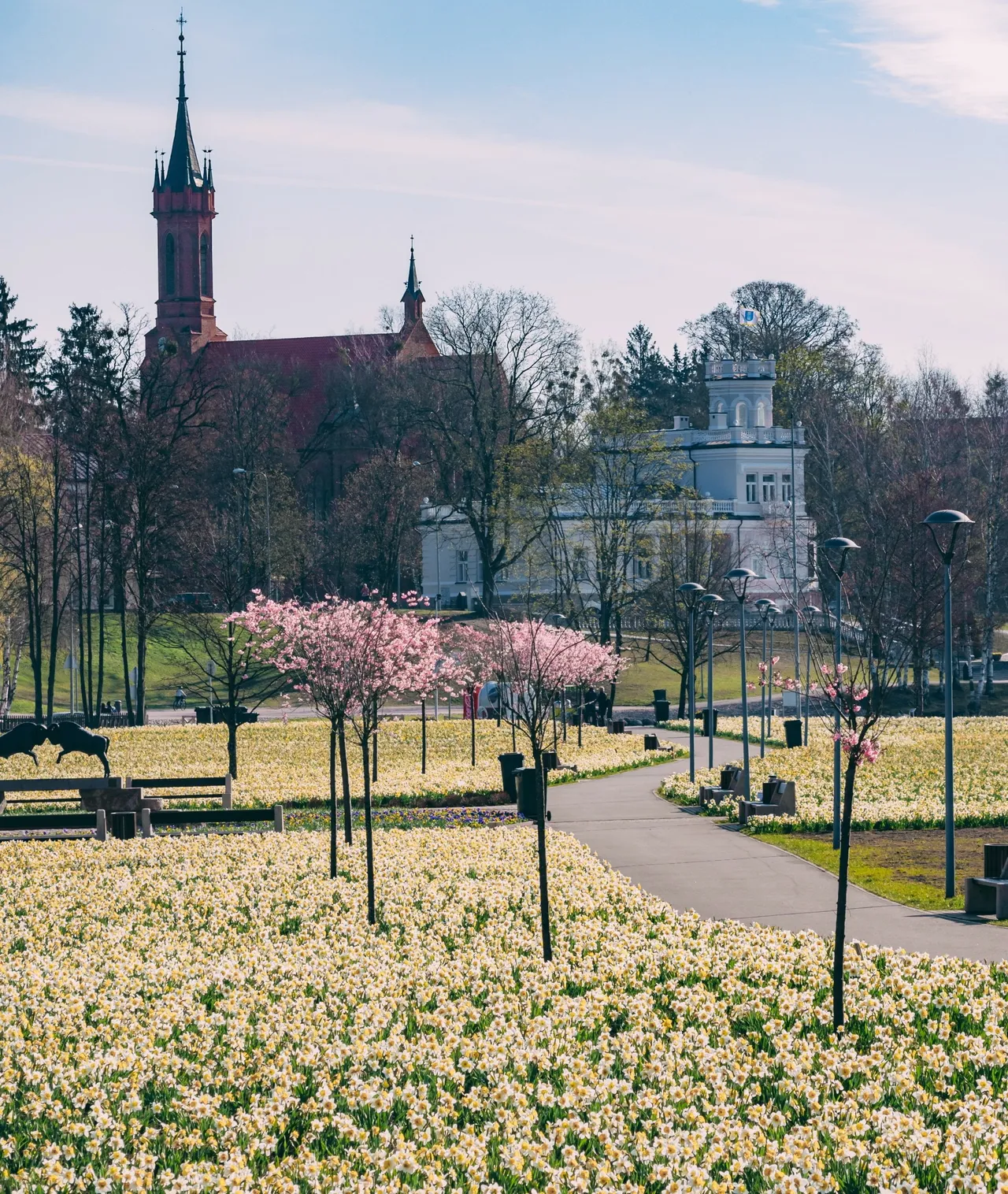 p2155374 seibokodd scaled