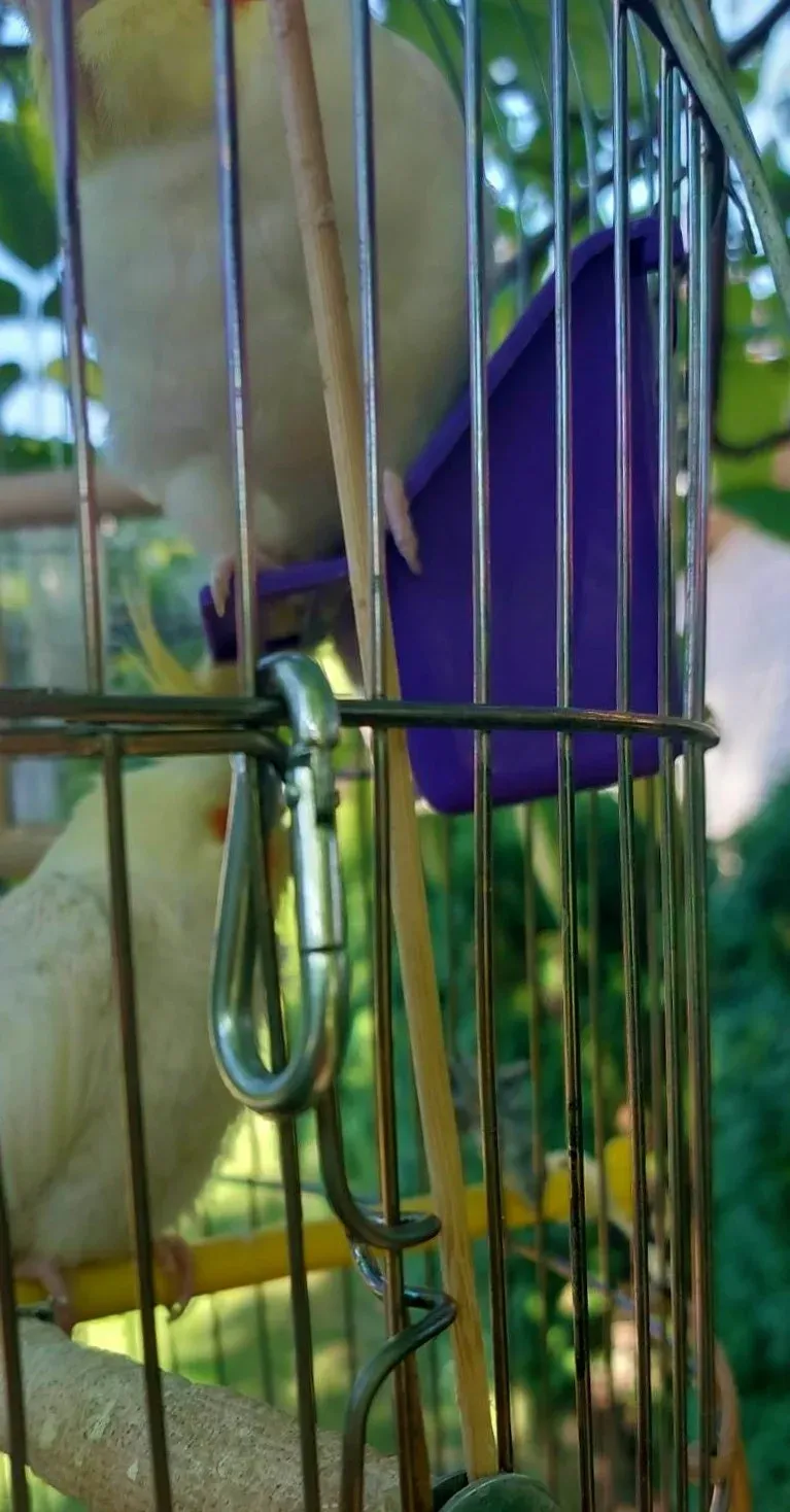 pap348387383 1000393304294869 6964814555788536552 n jpg