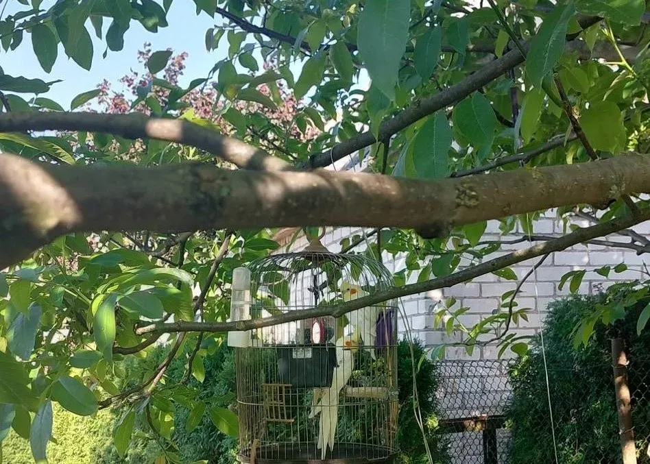 papu349109398 207295398885337 1738413003065495241 n jpg