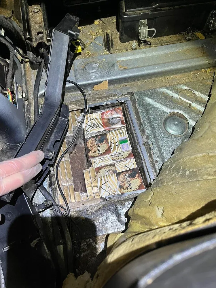 pasie1114 cizos2 56869 jpg