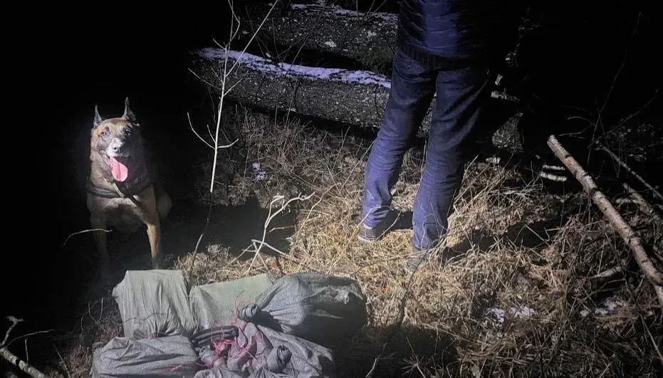 passuo20230302 cig kabel 2 jpg