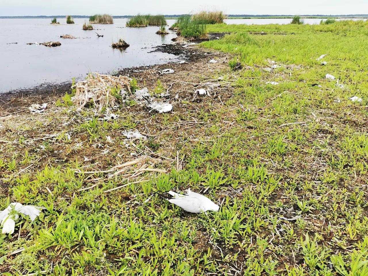 paugri355337261 641138038042242 5277341325948743283 n