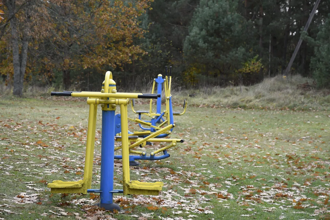 perdazyti sporto irengimai scaled