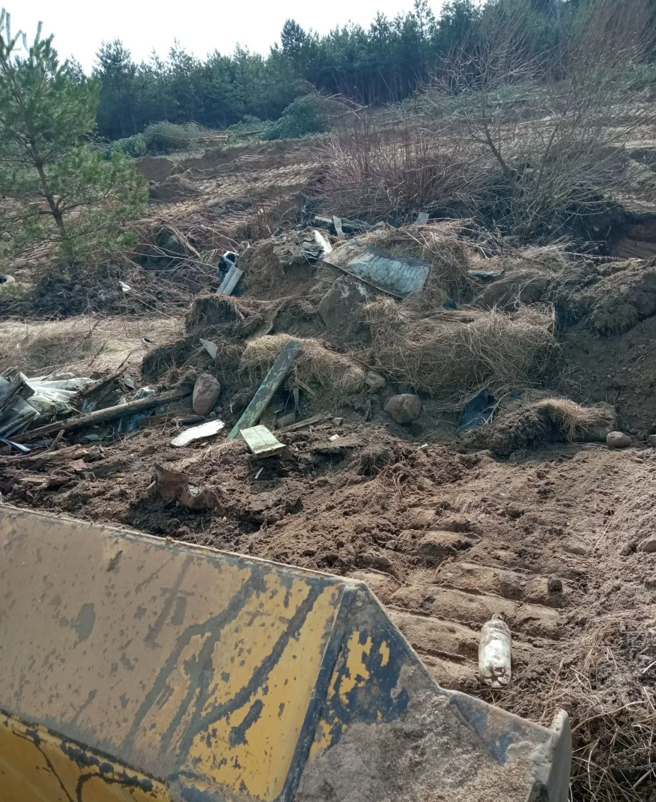 perloimg 20230328 115633 jpg