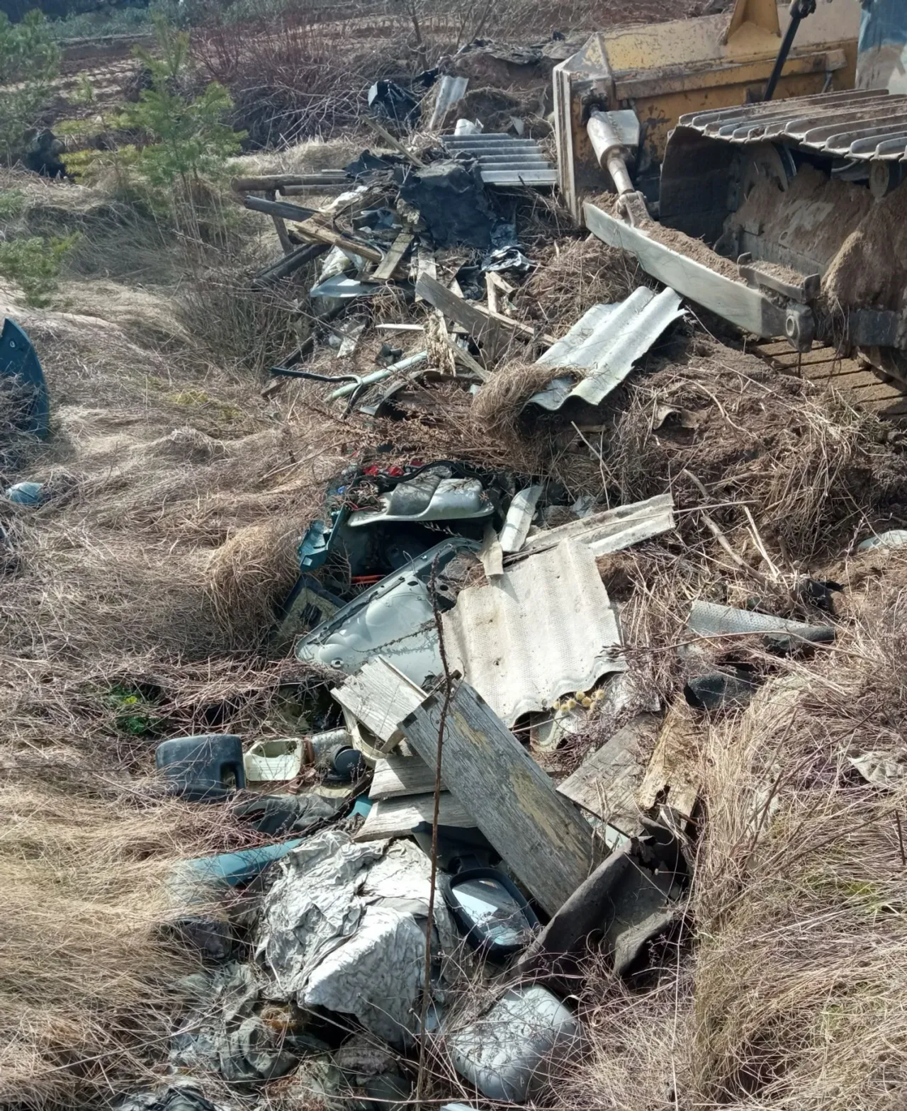 perloimg 20230328 115654s jpg