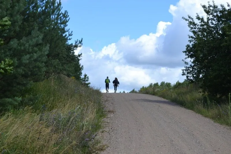 pesciuju marsrutas misko takas ves ir pro alytaus rajona