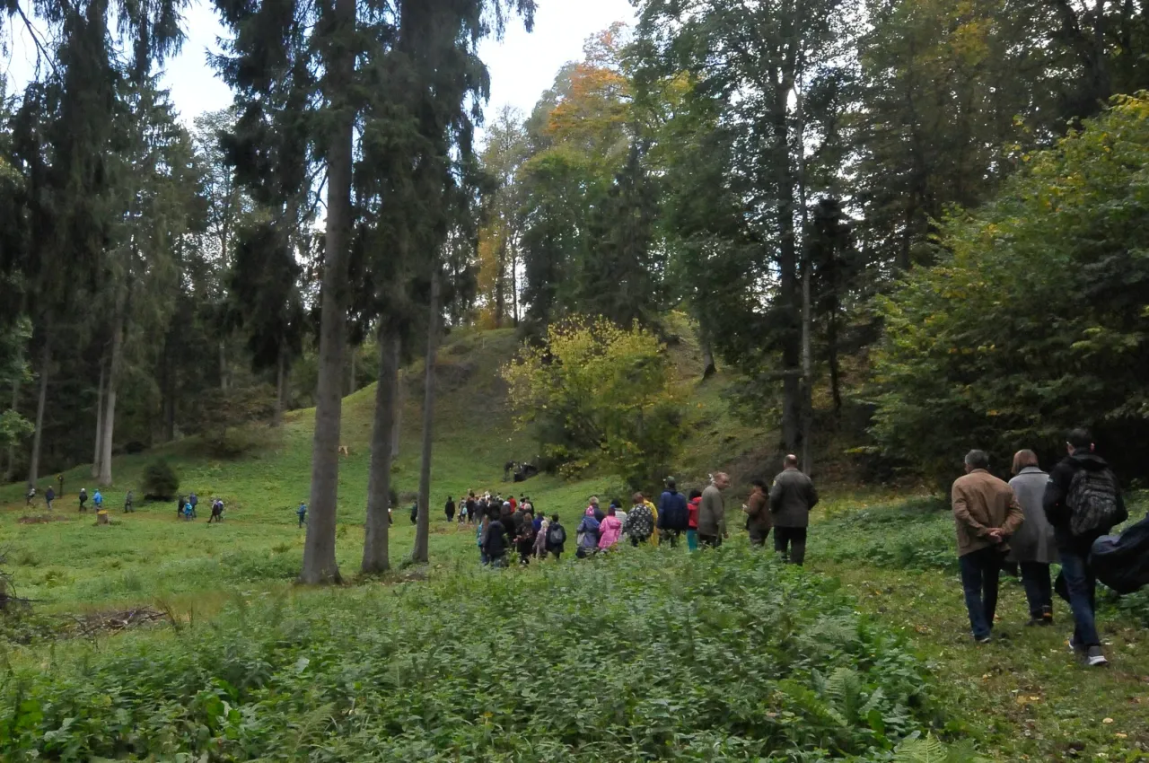 piliau356086375 670779868417639 8041371686306563674 n jpg