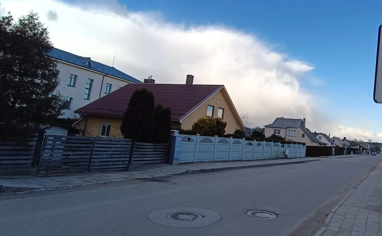 pilimg 20230304 152506 jpg