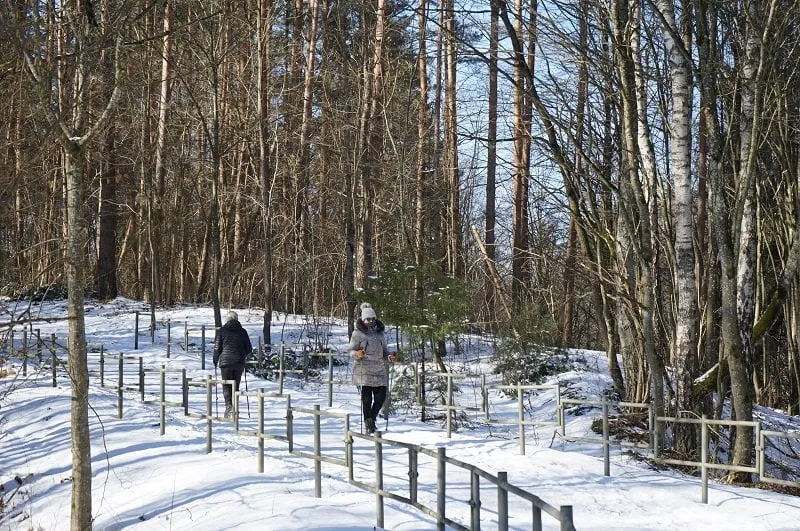 planuojama kad naujasis takas bus nutiestas rajono savivaldybes lesomis darbai prasides dar siais metais is karto po to kai bus sutvarkyti zemes paemimo klausimai ir baigti projektavimo darbai