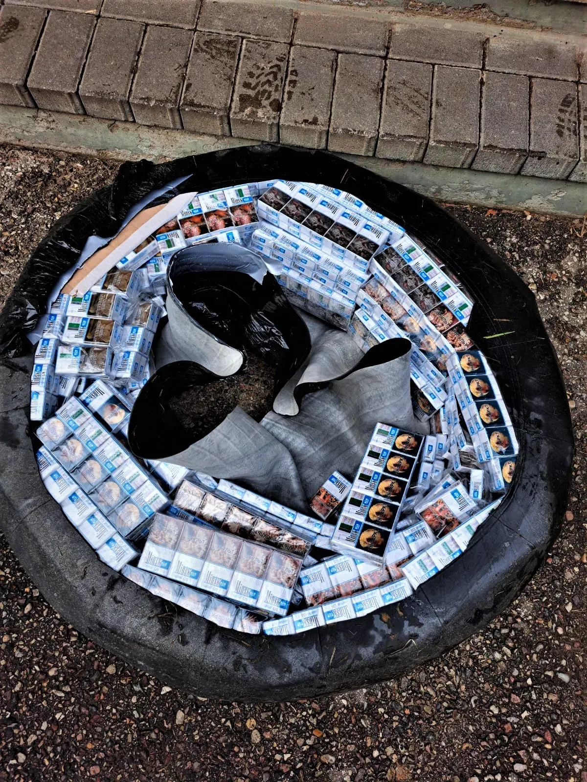 plau20230303 cig plaust 2 1 jpeg