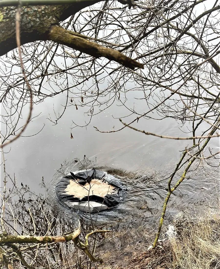 plau20230303 cig plaust 2 jpeg