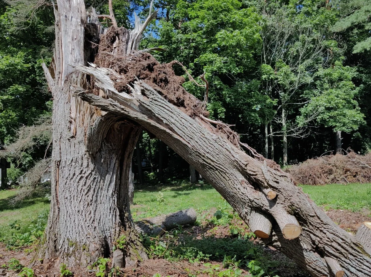 punimg 20210810 125347 scaled