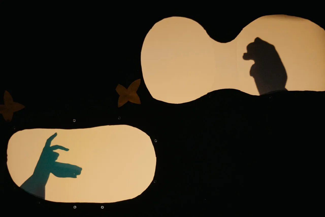 rankusesetea62497f38e238a scaled