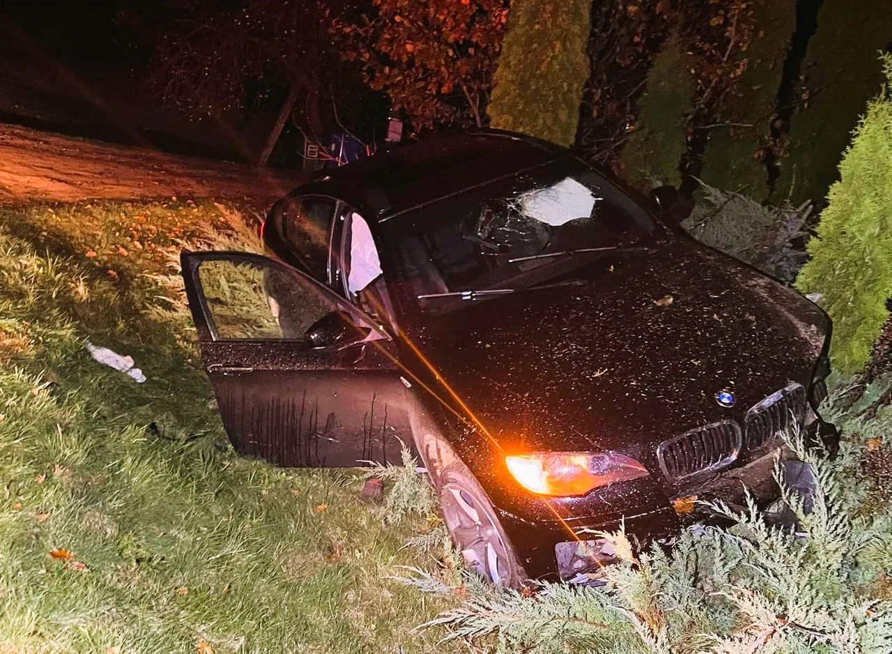 received 3372421813023810 kopija