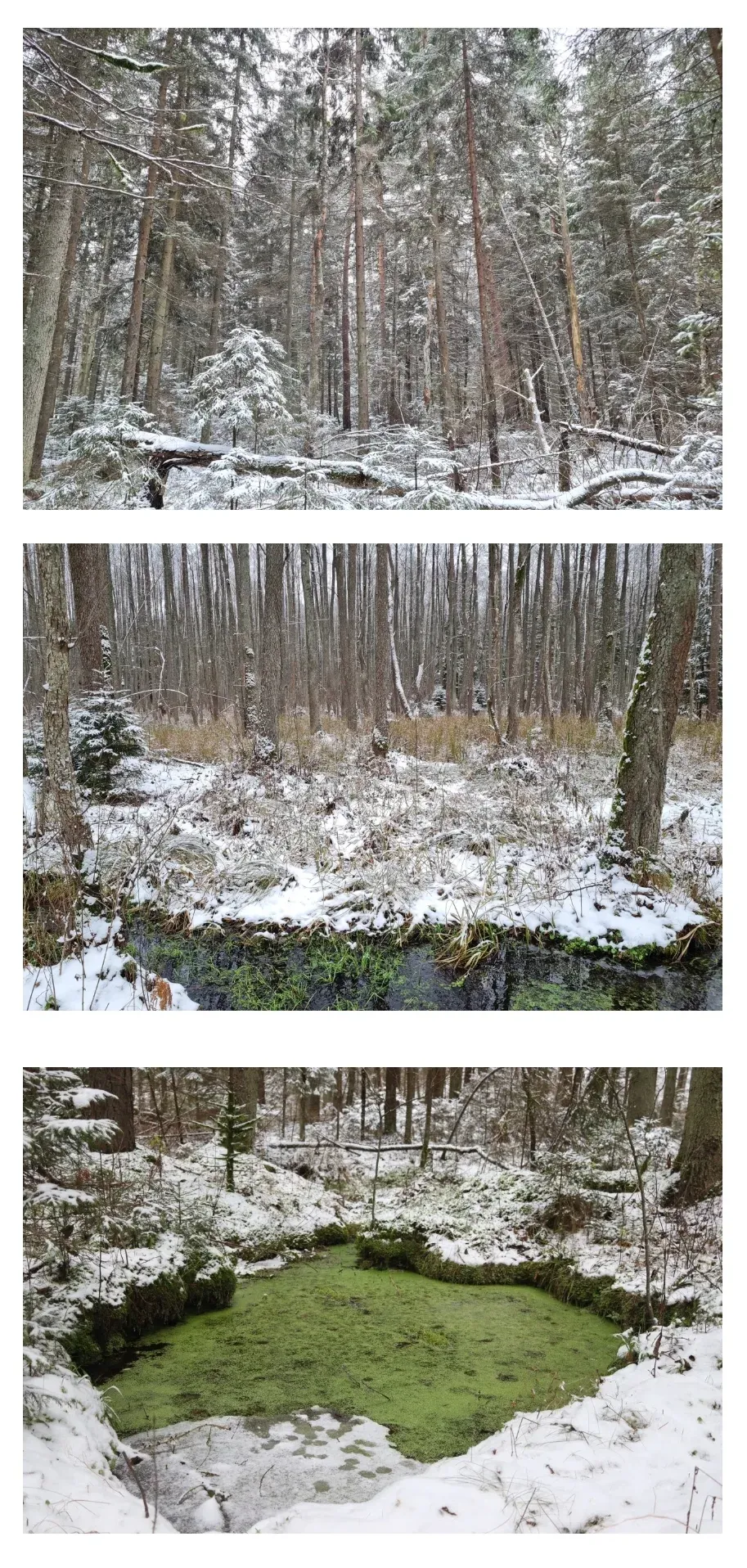 screenshot 2023 02 17 00 34 18 039 edit comgoogleandroidgm jpg