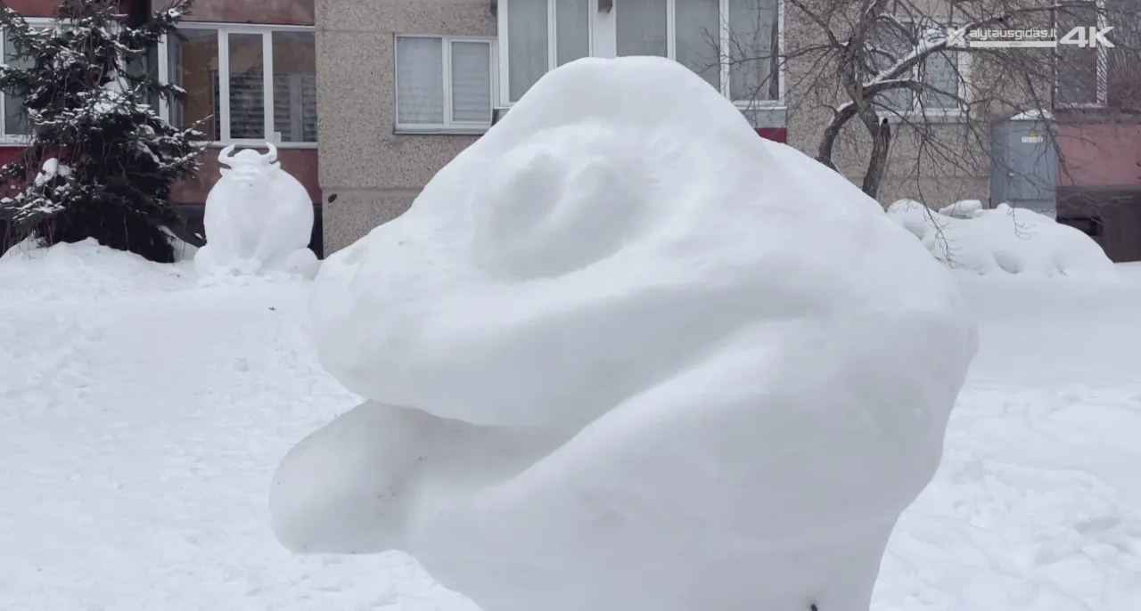 sequence 0100 00 16 19still001 scaled