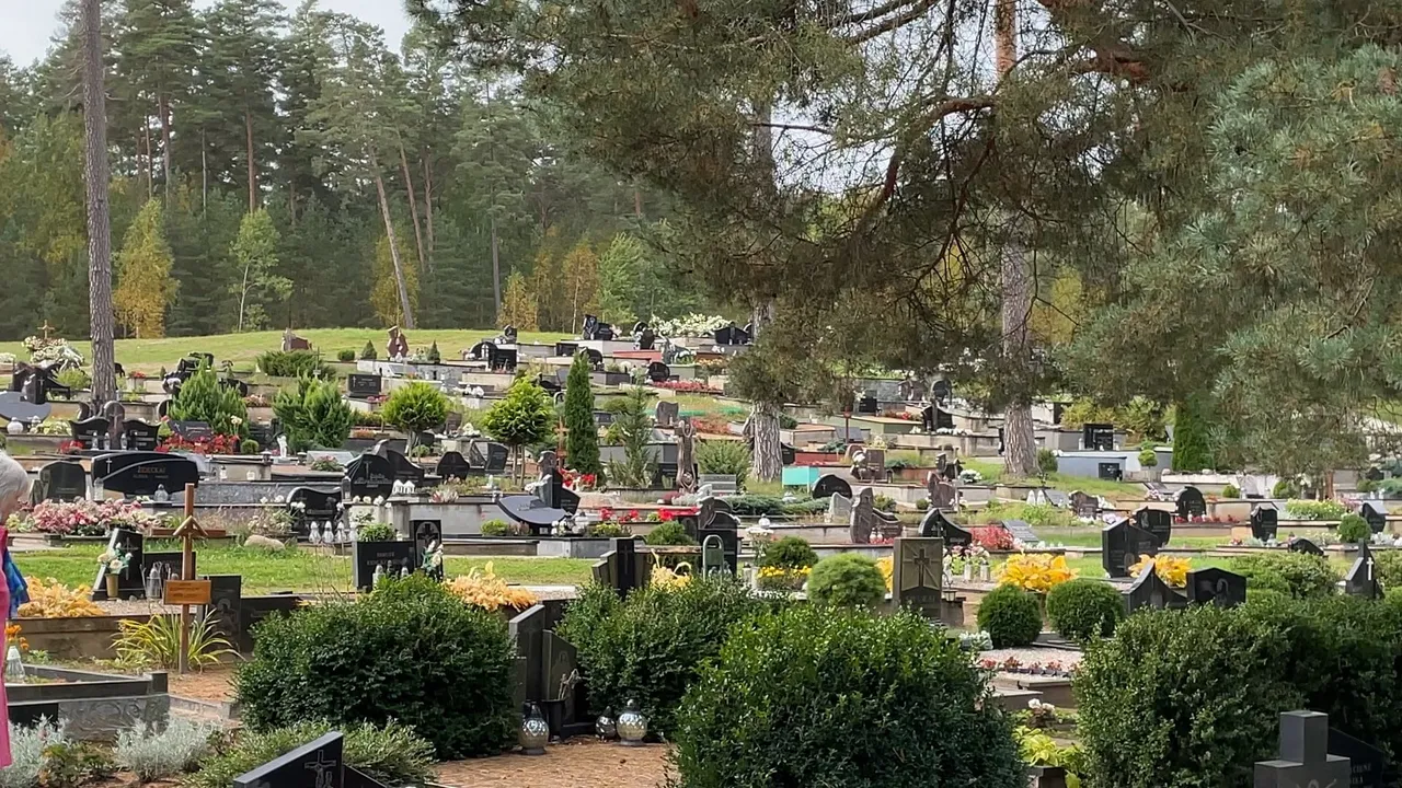 sequence 0100 03 53 06still003