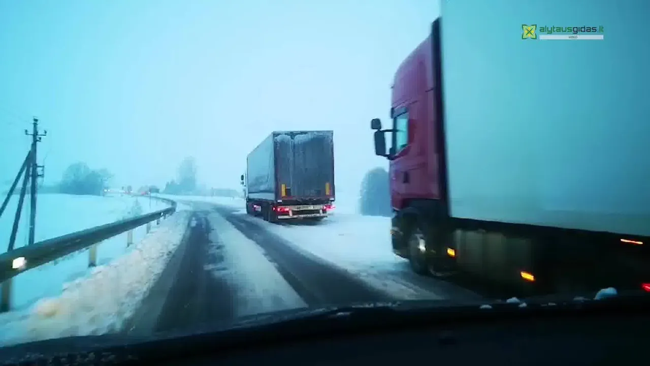 siman121916358 871249686996321 7026780551484822915 n