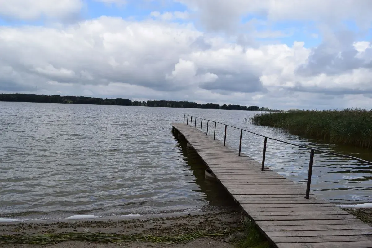 simdsc 0002 46621 jpg