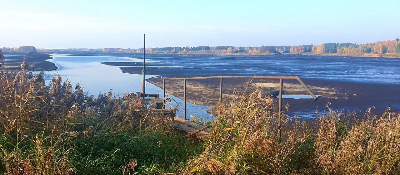 skab72735976 1513367152135767 3606214009562333184 nd