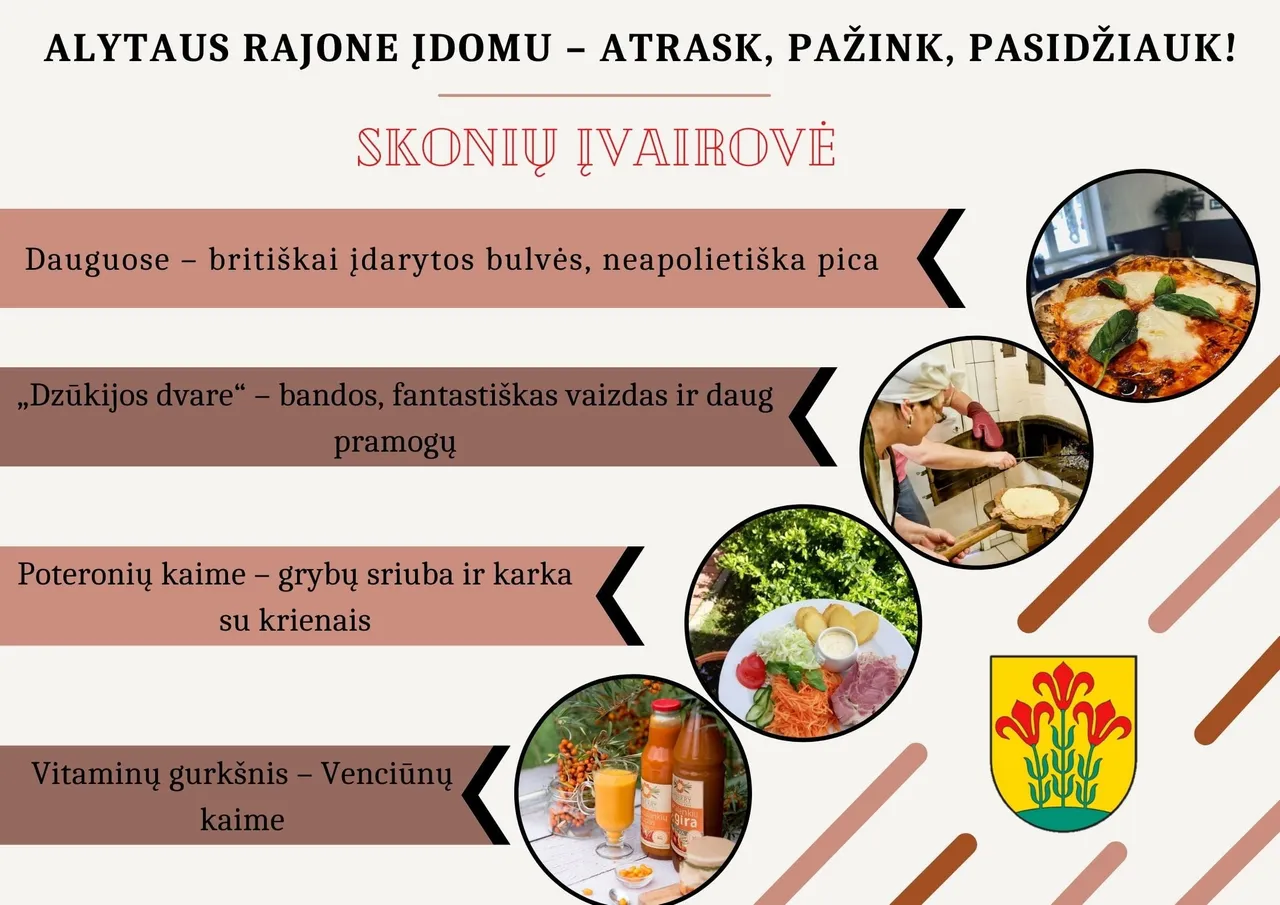 skoniu ivairove 1 1