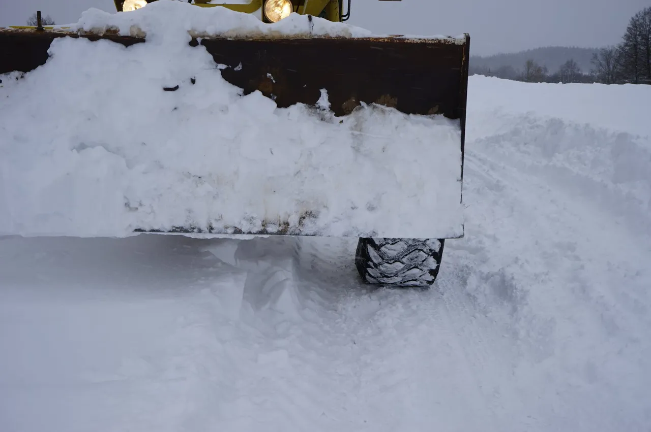 sniegarsa147745688 4012370445463230 7879312494063789242 o