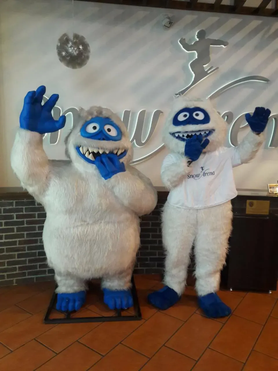 snow arenos sniegius jpg