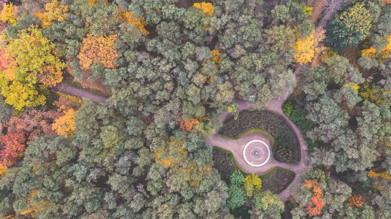 sodas18772 6886847fab102db51079c6594e5d15b3